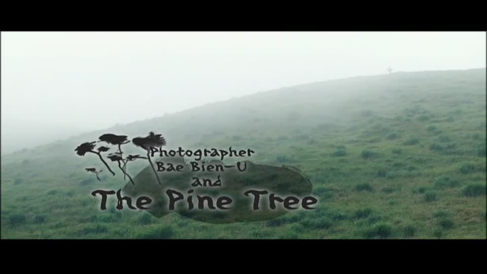 Photographer Bae Bien-U and the Pine Tree_영어