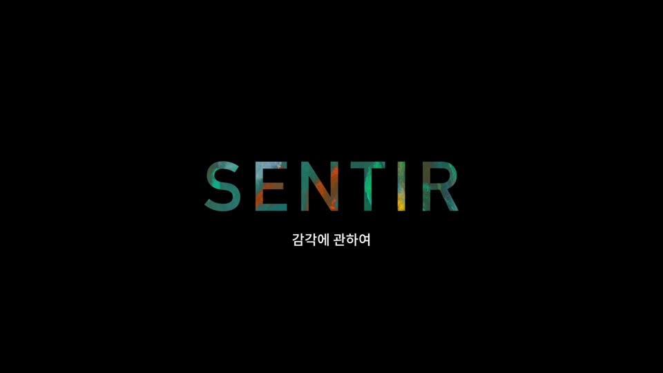 [글로벌아츠] KF갤러리 《바람의 구멍》 전시 상영 영상 "감각에 관하여 Sentir", 2018