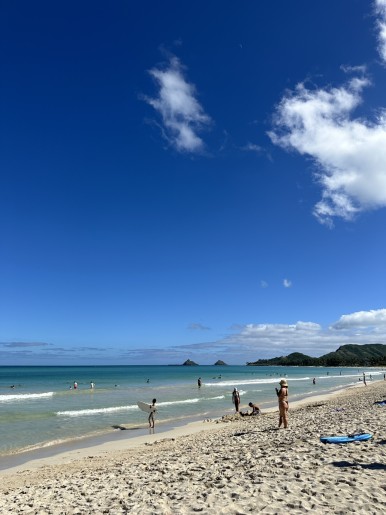 image1.png