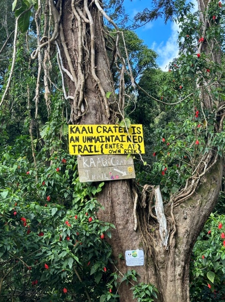 image1.png
