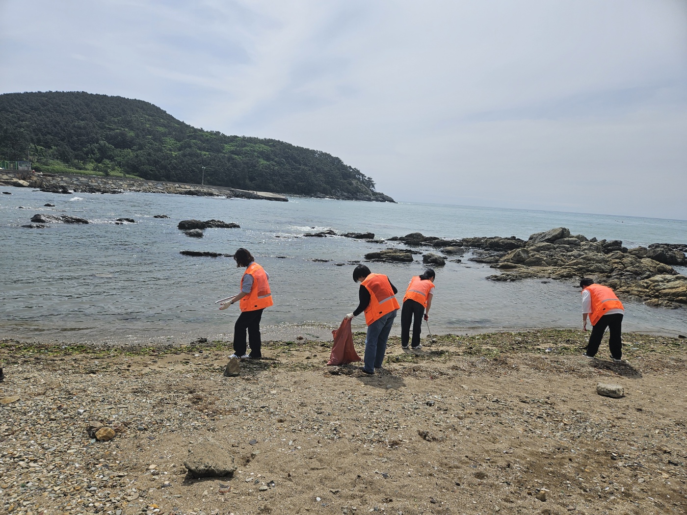 KF아세안문화원 반려헤변 정화활동 실시2