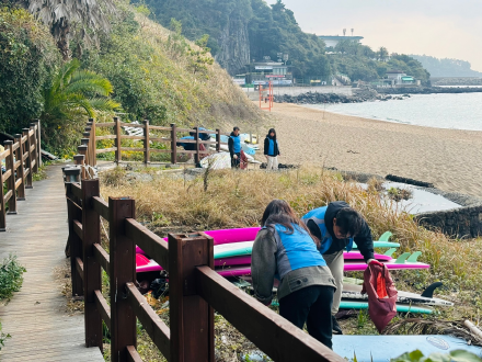 반려해변 환경정화활동을 진행중인 모습2