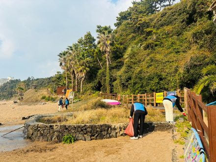 반려해변 환경정화활동을 진행중인 모습3