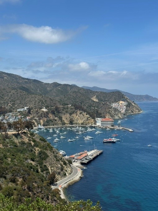 카탈리나 아일랜드의 풍경