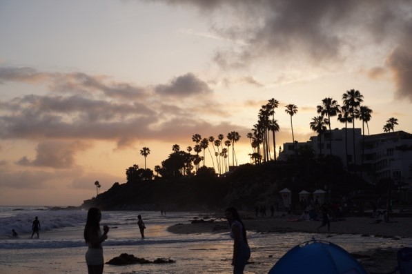 바다에서 자연을 즐기는 모습