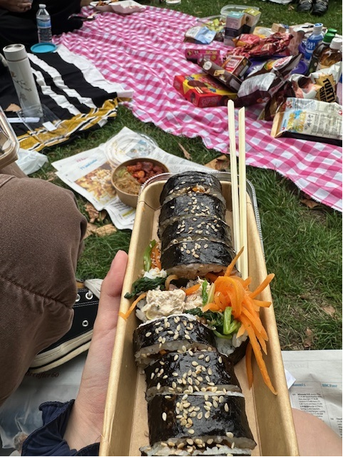 피크닉에서 김밥을 중심을 찍은 모습