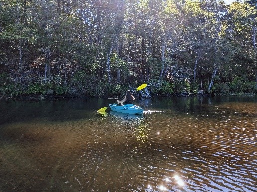호수에서 카약을 즐기고 있는 모습