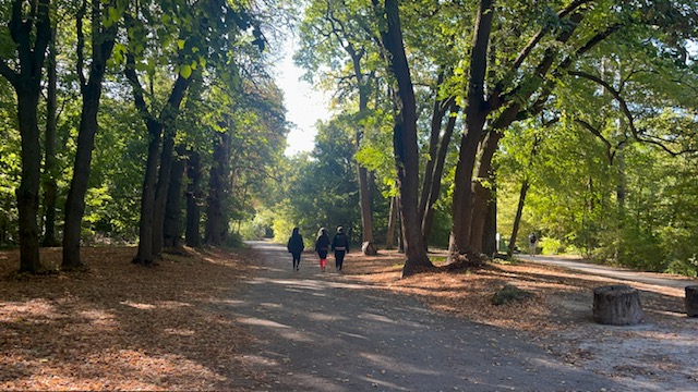 체육대회가 진행된 모습