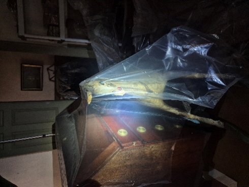 Bug Day, 투명천으로 덮여져 있는 말모양의 조각품과 서랍장