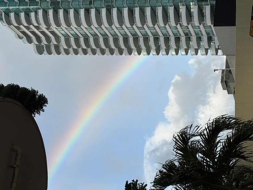 무지개가 뜬 하늘