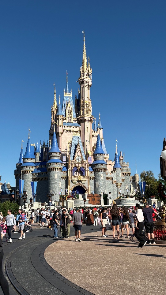디즈니랜드 성의 모습