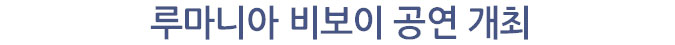 루마니아 비보이 공연 개최