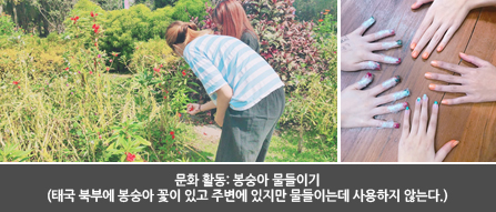 문화 활동: 봉숭아 물들이기 (태국 북부에 봉숭아 꽃이 있고 주변에 있지만 물들이는데 사용하지 않는다.)