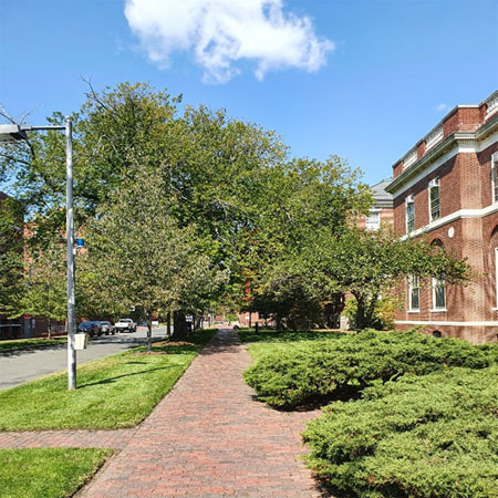 [그림 1] Harvard Yenching library 건물 앞 전경