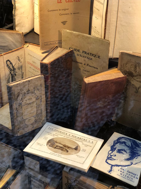 사진1. 파리의 한 헌책방에 진열된 책들