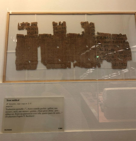 사진7. 기원전 1550-1295년 사이 파피루스에 적힌 의료기록 (Texte médical)
