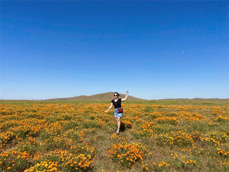 LA에서 한시간 정도 거리의 Antelope Valley Poppy Fields (5월에 꽃이 만개)