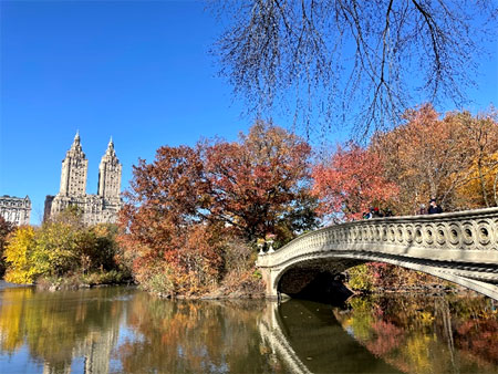 @ Central Park