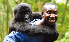 Virunga