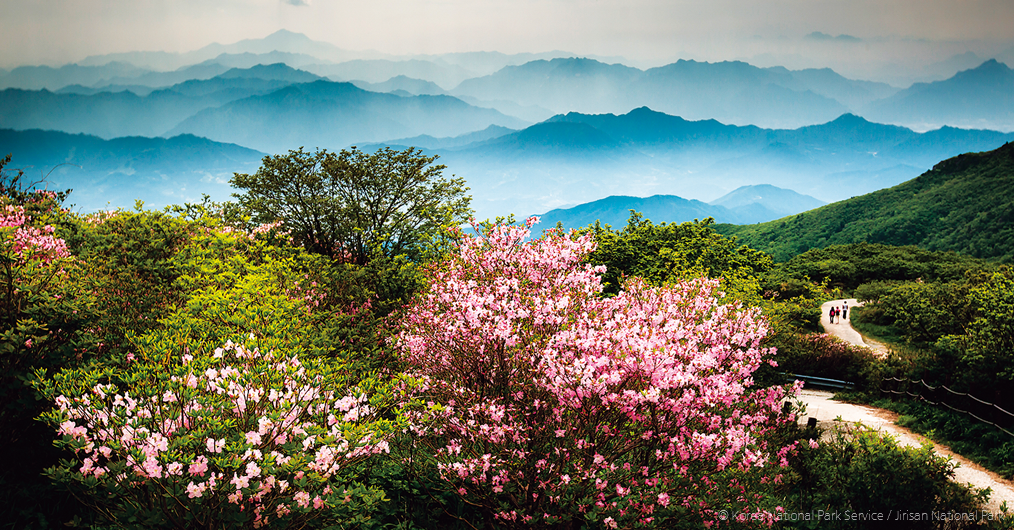 함양 산청 <font color='red'>봄</font> 산 냄새 가득한 옛 선비들의 마을