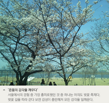 온몸의 감각을 깨우다 서울에서의 경험 중 가장 흥미로웠던 것 중 하나는 여의도 벚꽃 축제다. 벚꽃 길을 따라 걷다 보면 감성이 충만해져 모든 감깍을 일깨운다.