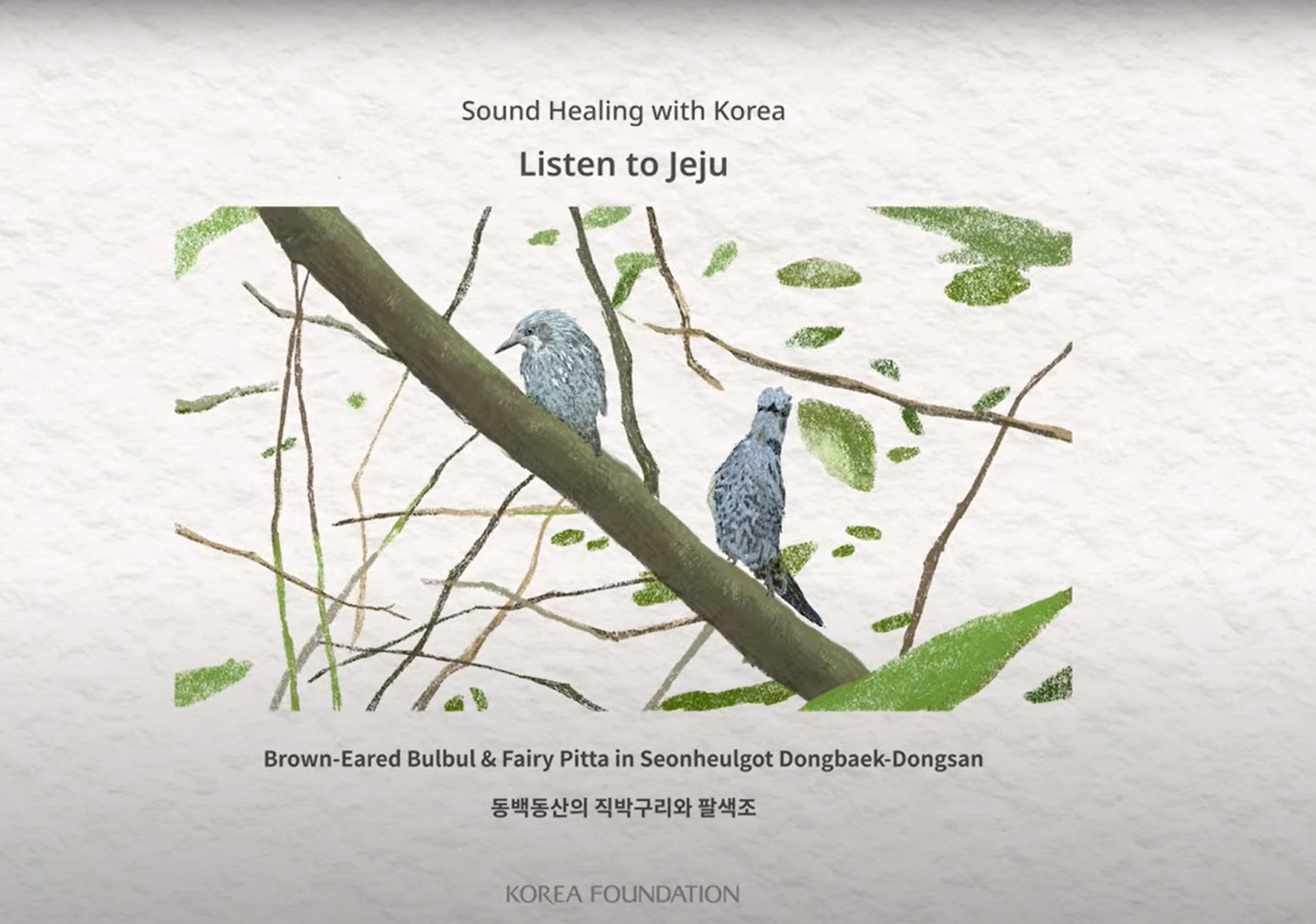 [ASMR] 2021 Sound Healing with Korea - Listen to <font color='red'>Jeju</font> | 1. Brown-Eared Bulbul & Fairy Pitta