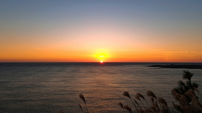 슬기로운 제주 생활_한국학사업부 김수연(사진).jpg