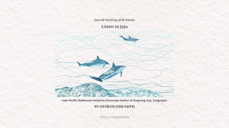 Sound Healing with Korea-Listen to Jeju Indo-Pacific Bottlenose Dolphins (Moseulpo Harbor in Daejeong-eup, Seogwipo) 제주 남방큰돌고래 (대정읍 모슬포항) KOREA FOUNDATION