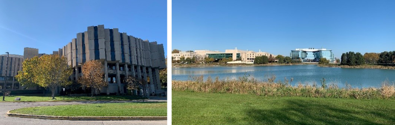 Northwestern University