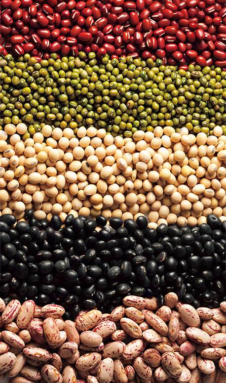 콩, 지구를 살리는 건강 식품